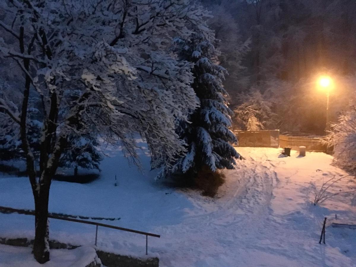 Soho Lodge Rasnov Exteriér fotografie