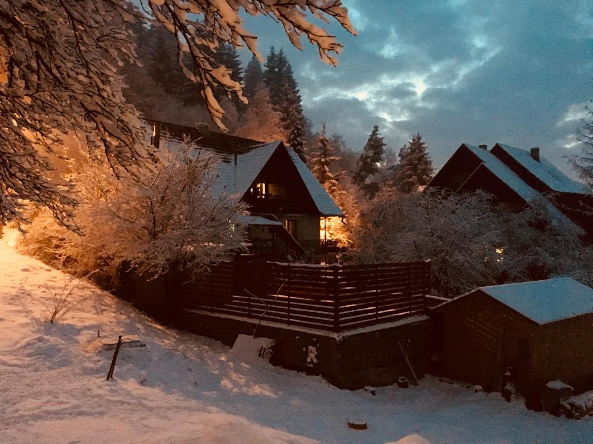 Soho Lodge Rasnov Exteriér fotografie