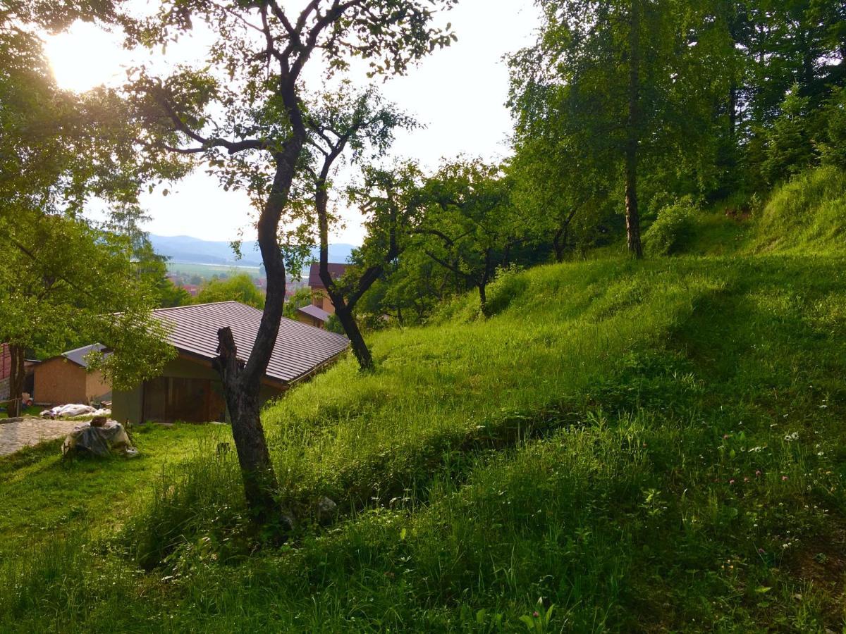 Soho Lodge Rasnov Exteriér fotografie