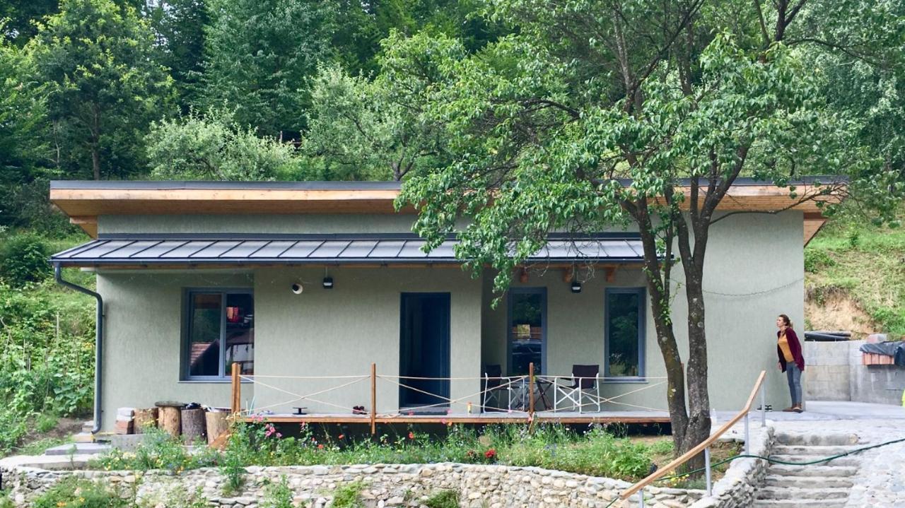 Soho Lodge Rasnov Exteriér fotografie