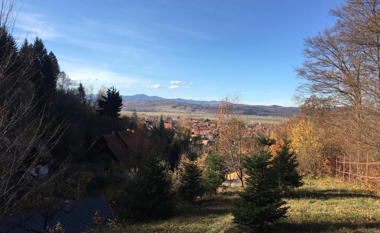 Soho Lodge Rasnov Exteriér fotografie