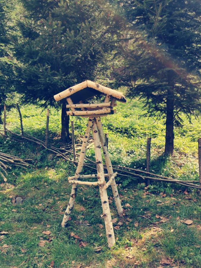 Soho Lodge Rasnov Exteriér fotografie