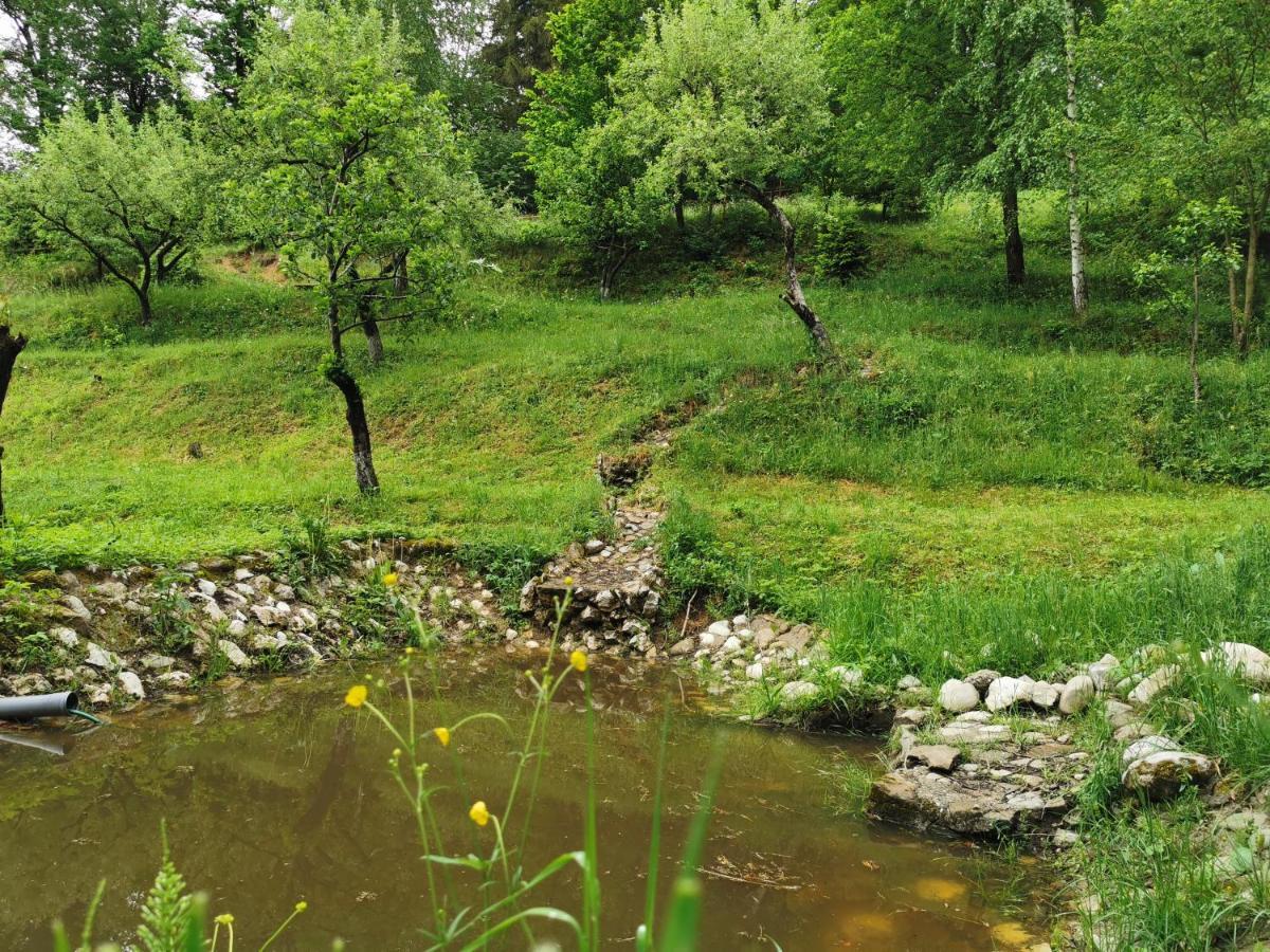 Soho Lodge Rasnov Exteriér fotografie