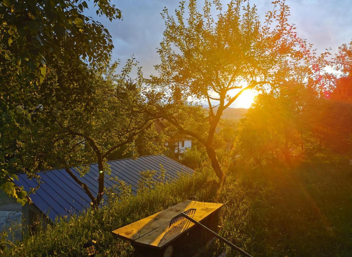 Soho Lodge Rasnov Exteriér fotografie