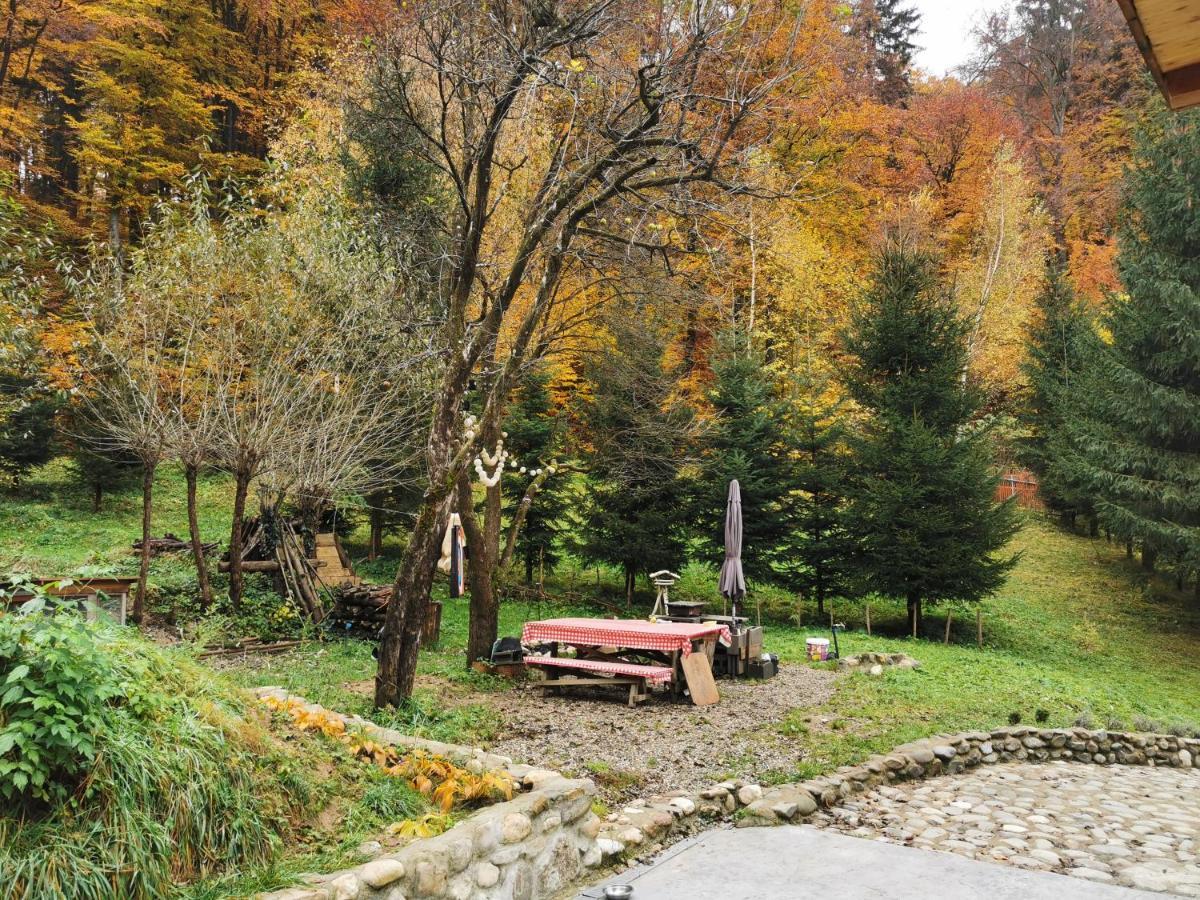 Soho Lodge Rasnov Exteriér fotografie
