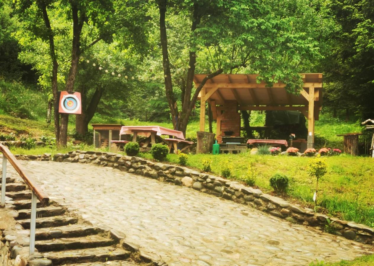 Soho Lodge Rasnov Exteriér fotografie