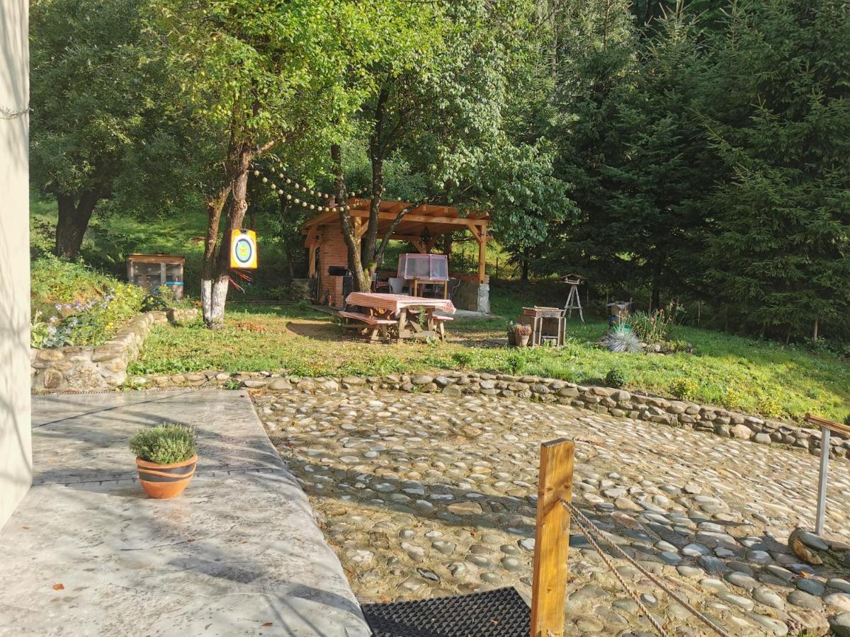 Soho Lodge Rasnov Exteriér fotografie