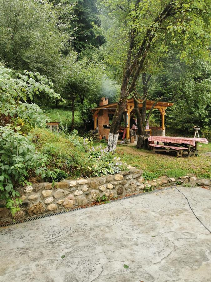 Soho Lodge Rasnov Exteriér fotografie