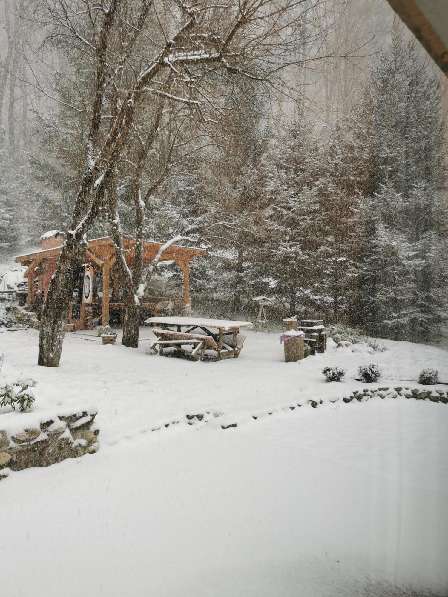 Soho Lodge Rasnov Exteriér fotografie
